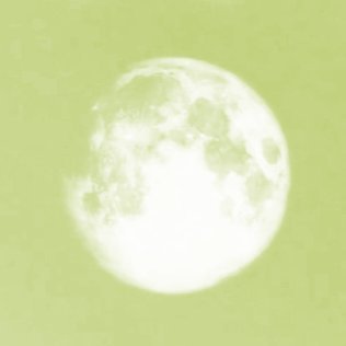 idalso_archive's profile picture. for the 12 moon girls