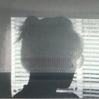 switch-hitter extraordinare (@polytechnique22) 's Twitter Profile