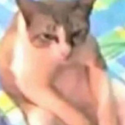 teyhaaaaa_'s profile picture. 