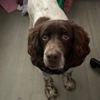 mo (@holidayormo) 's Twitter Profile
