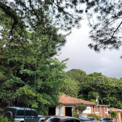 Lolabull23's profile picture. ⚖ Estudiante FCJ/ UNAH
Amante del análisis y el criterio.