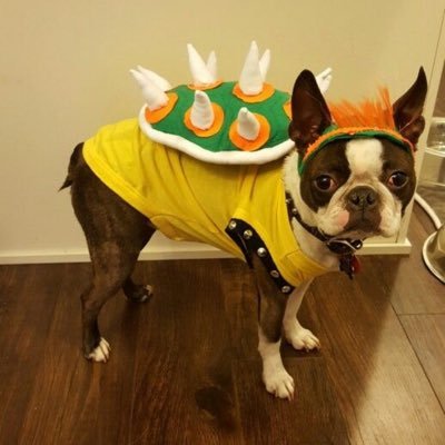 03Bever's profile picture. 22 | 🅱️owser | Louisiana sports enjoyer