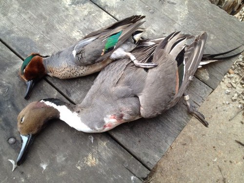 PaulKBowling's profile picture. 