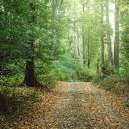 Logicbomb_Media's profile picture. 