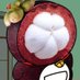 , (@cof7p4hoql84261) Twitter profile photo , (@cof7p4hoql84261) Twitter profile photo