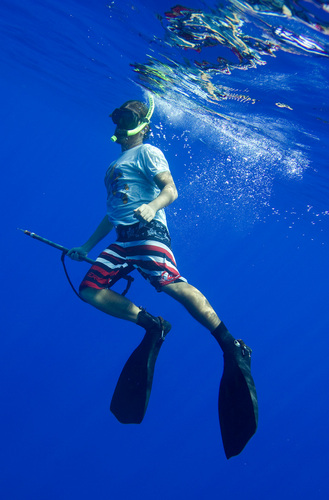 DivingPotter's profile picture. I take action about the things I care about and speak out against wrongs. Standing up for what I stand on.