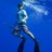 DivingPotter's profile image
