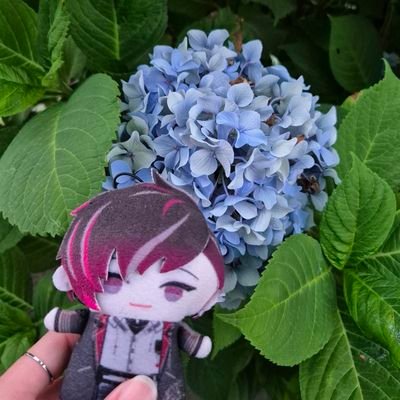 mintyrinty_'s profile picture. rinty | she/her | 21↑ | ♦️🐯 | h:@/syaru180 | just another villion enjoying her time with ♦️ | 《remember to be kind, not just to others, but also to yourself》|