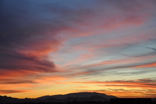 CompNewtrition's profile picture. Ideas and products for a healthy lifestyle.