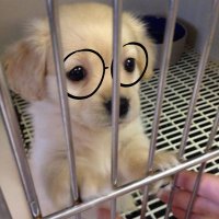 고고학자 (@mnkt_00) 's Twitter Profile