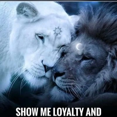 Albert11jack's profile picture. A positive mindset is a relative to success @xrp ▪︎▪︎▪︎ @btc crypto value