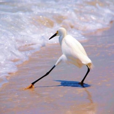 yueyu7683836071's profile picture. 