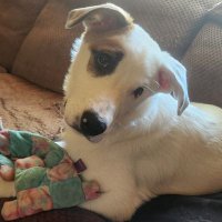 Age of Reason 🌊🌀🌊🌀🌊 (@tlovett7) 's Twitter Profile