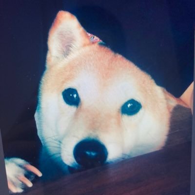 シコぼんさんのプロフィール画像