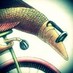 Fish & Bicycles Profile picture