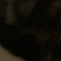 エウヘ゜② (@fkr__3) 's Twitter Profile