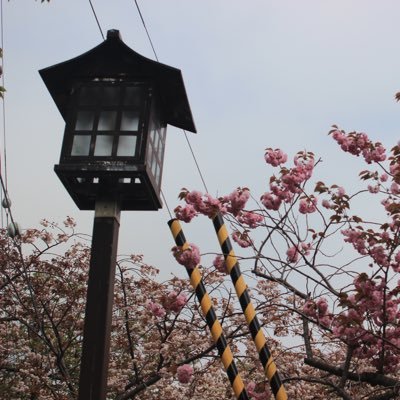 shiganaai1024's profile picture. 📸📸🔰写真撮るのが好きなしがない一般人です🔰📸📸🚹撮影依頼大歓迎！ 18、作例RP‼️🌈🕒🧷推しです。撮らせてください。日常→@shiganaaaaaaaai 撮らせていただいたお写真何していただいても大丈夫です！！今年受験生なので進路との兼ね合いでお写真送るのが遅くなります。ご了承ください。