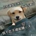 xiaolinxiangshuijiao (@zyvtbypxquiwaq0) Twitter profile photo xiaolinxiangshuijiao (@zyvtbypxquiwaq0) Twitter profile photo