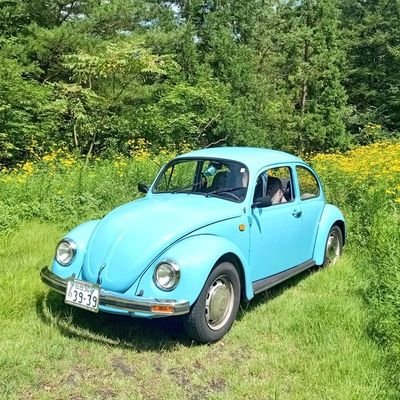 シュードーさんのプロフィール画像