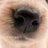 kw_dang's profile image