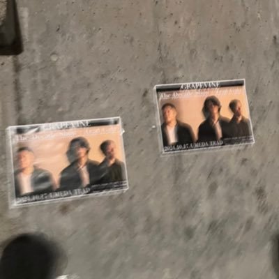 gumigyozaumai's profile picture. 野音からバイン熱復活した人間🍇たまにお笑いの独り言も言います