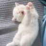 marvicserafica's profile picture. I don't know bout you but i feeling 22~