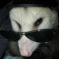 vermin keenan (@whatsernamehhh) 's Twitter Profile
