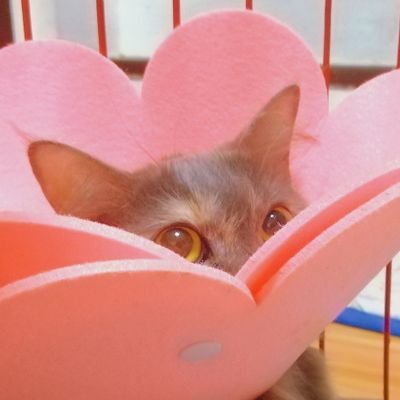 Yuさんのプロフィール画像