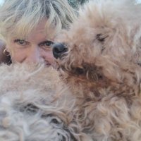 Lita (@michi5235167) 's Twitter Profile Photo Lita (@michi5235167) 's Twitter Profile Photo