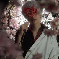 ❀百々星❀ (@momose_1111_) 's Twitter Profile