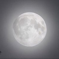 MOON 🌕 (@umlax) 's Twitter Profile
