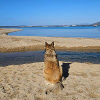 ᴅᴇɴɪᴢ (@depresifamaiyi) Twitter profile photo