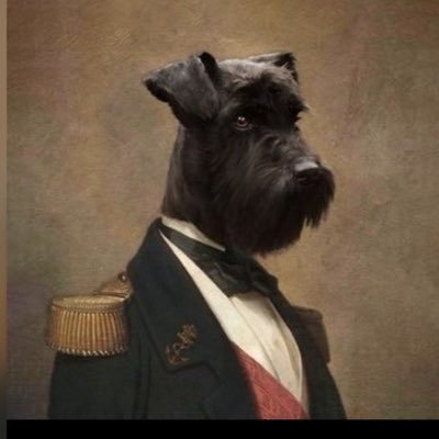 cubano_089's profile picture. Pártete!!!