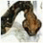 qydupopuqywu's profile image