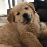 Mini Worthy (@mini_worthy) 's Twitter Profile