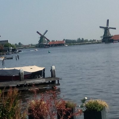 dosese's profile picture. 