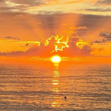 legro1234's profile picture. 