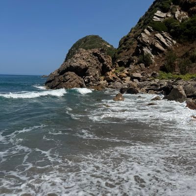 medtarekazouz's profile picture. أسفار تذاكر طيران 🛫