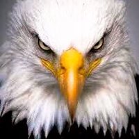 Liberalli (@liberalli2) 's Twitter Profile