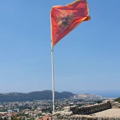 SnowhunterCG's profile picture. 