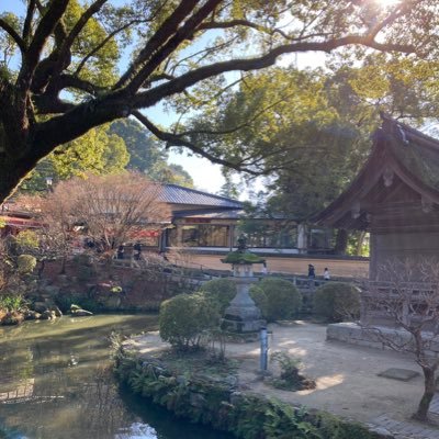 sakamoto_sansun's profile picture. 精神衛生を保つためのごみ箱のようなもの