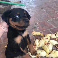 Markitoos (@markit0oss) 's Twitter Profile