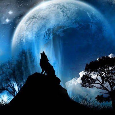 build_luck's profile picture. 