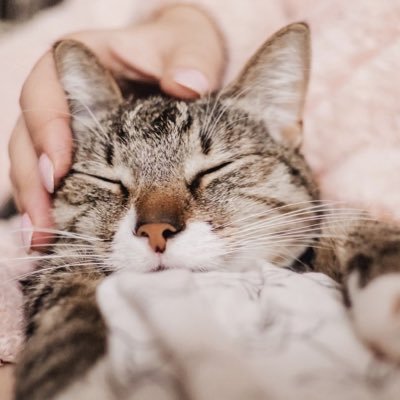 顔タイプフレッシュ(クールカジュアル寄り)|ブルベ夏|イエベ春|骨格ウェーブ|奥目|薄肌|透明感|メガネ|ボーイッシュ|ほぼ無加工|ナチュラルコスメ好き|インスタとかインフルエンサーとかに振り回されるのやめました🥺詳細なレビューと記録はアットコスメ・LIPSに🌿