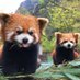 Paul45 (@panda030864) Twitter profile photo Paul45 (@panda030864) Twitter profile photo