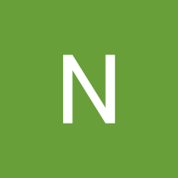 Nusa Juliet (@nusaj340) Twitter profile photo