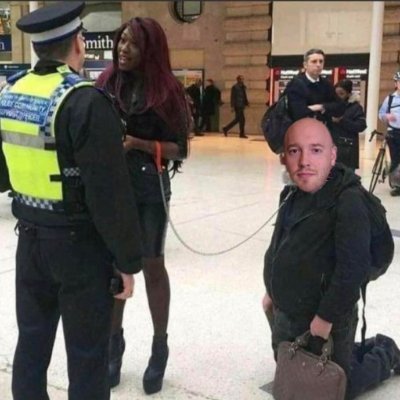 VeeversIsANonce's profile picture. This account, like many others is to bring awareness to the public about prolific offenders. This account is dedicated to @davidveevers1, a prof. of history. Fa