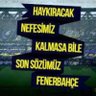 fenergururu's profile picture. @Fenerbahce