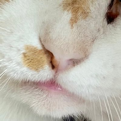 sVeg1PhYnF60786's profile picture. 20↑ 🌟💫♡♡♡♡(´ε｀ )