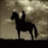 vigevecynagen's profile image